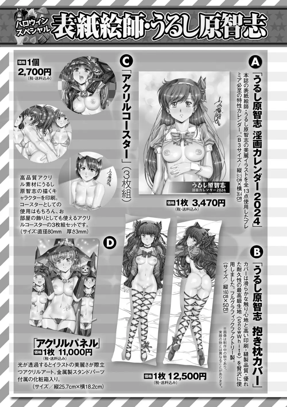 コミックマショウ 2023年12月号 260ページ