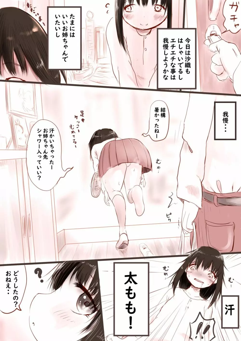 我慢できなかったお姉ちゃん 2ページ