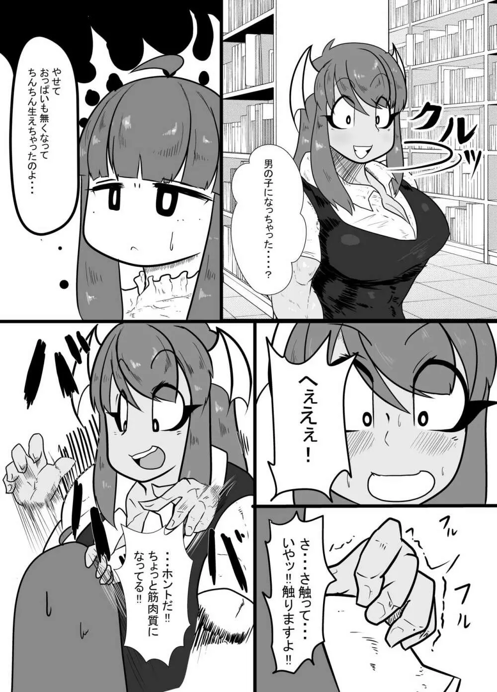 倒錯! ぱちゅこあっくす 3ページ