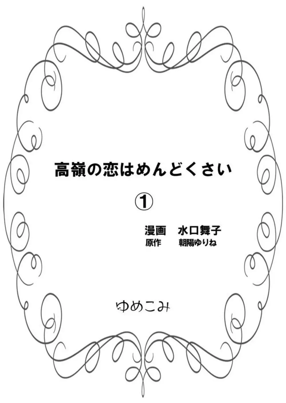 高嶺の恋はめんどくさい 1 2ページ