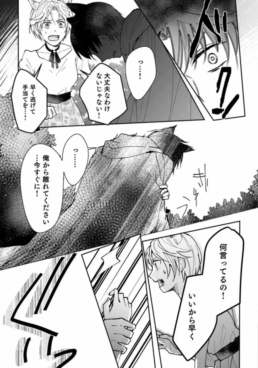 獣人騎士の敬愛 STORY.1 15ページ