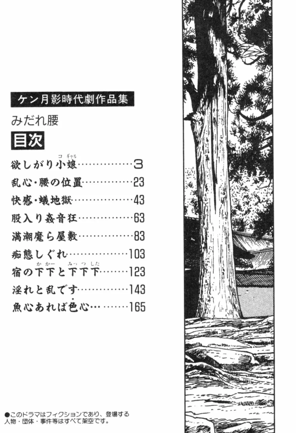 みだれ腰 時代劇シリーズ 4 5ページ