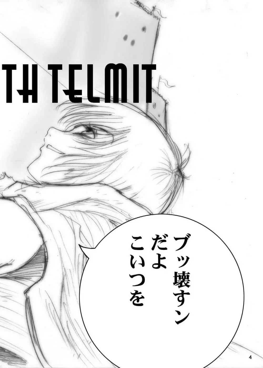 Interview with Telmit 4ページ