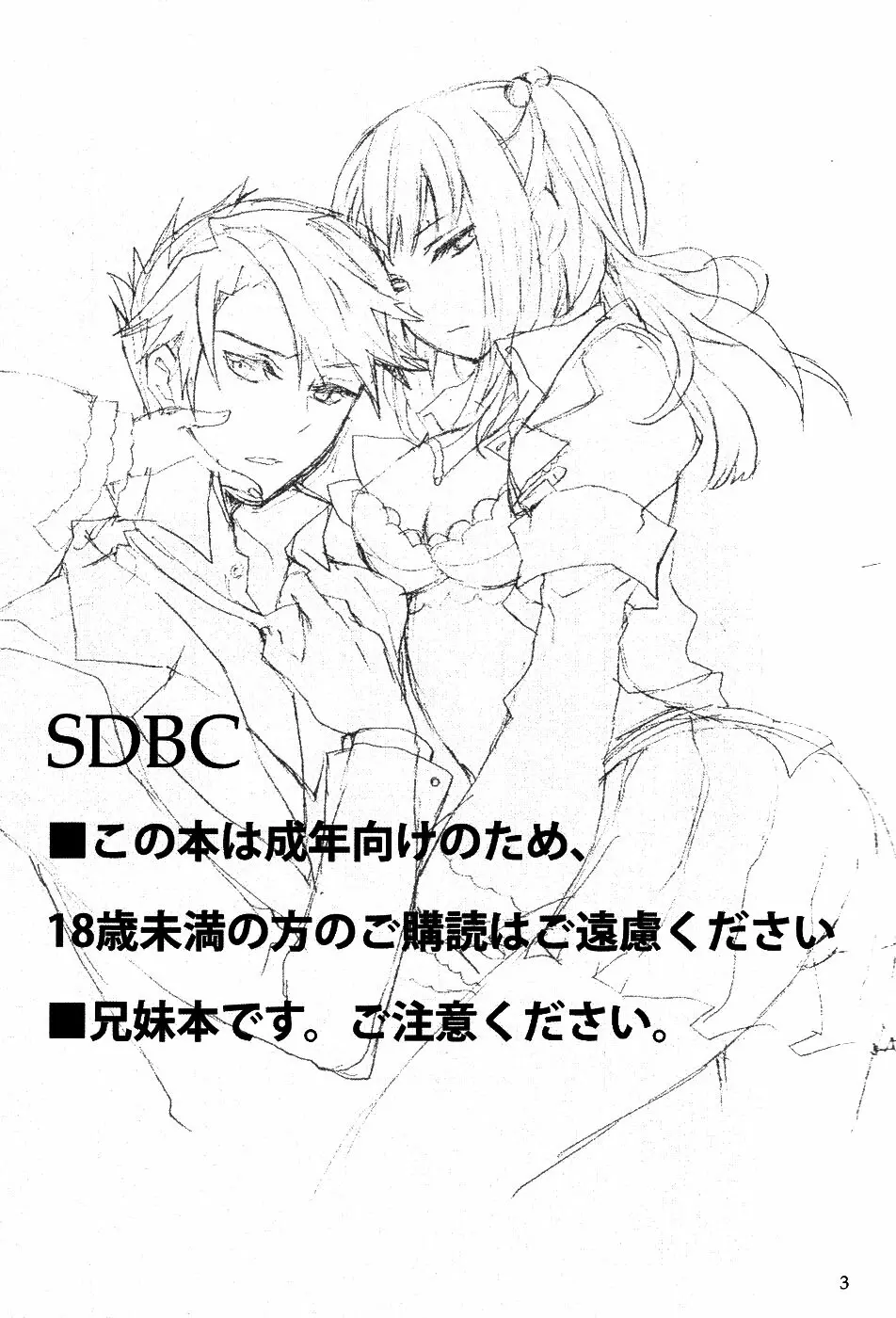 SDBC 2ページ