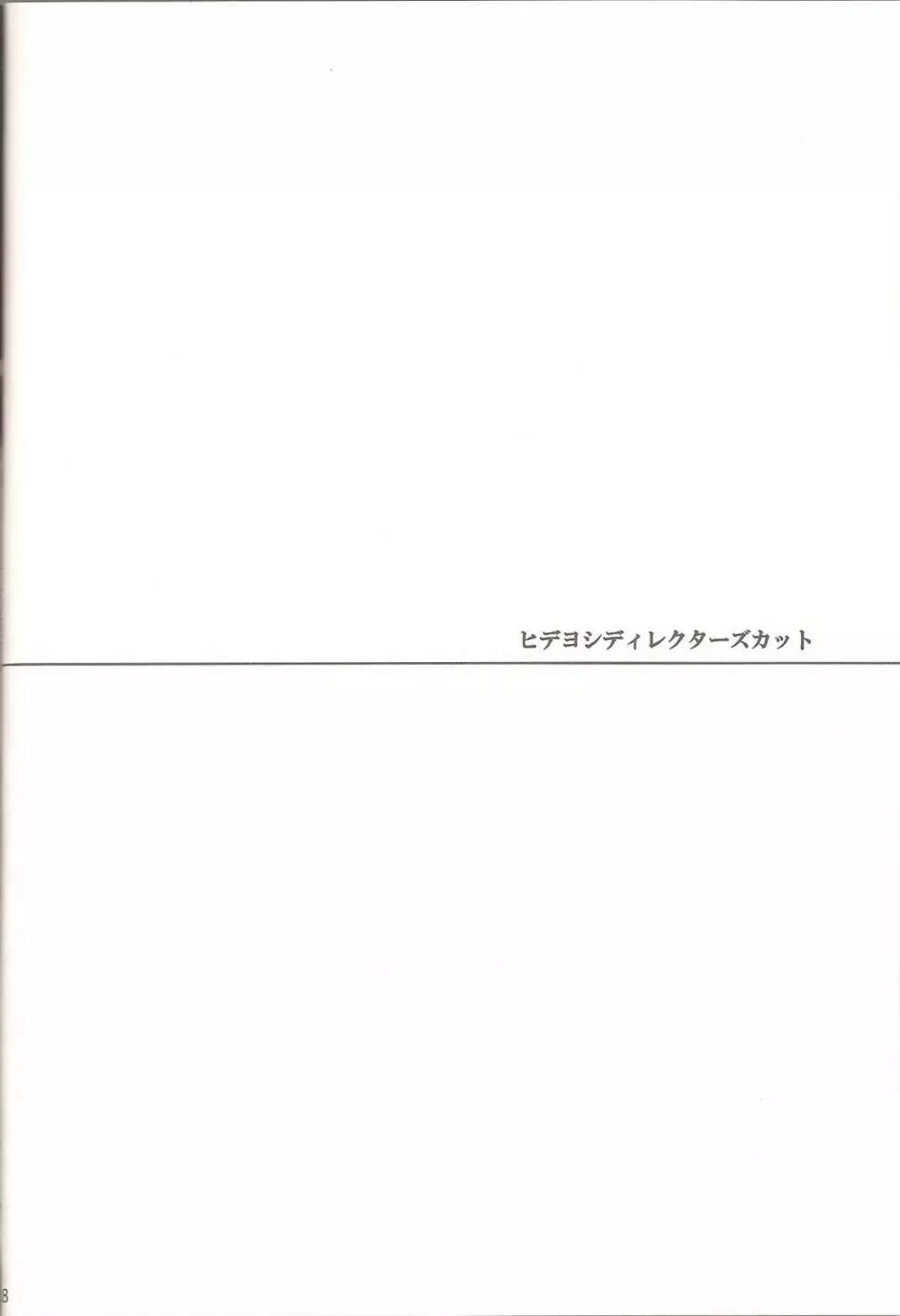 ヒデヨシディレクターズカット 17ページ