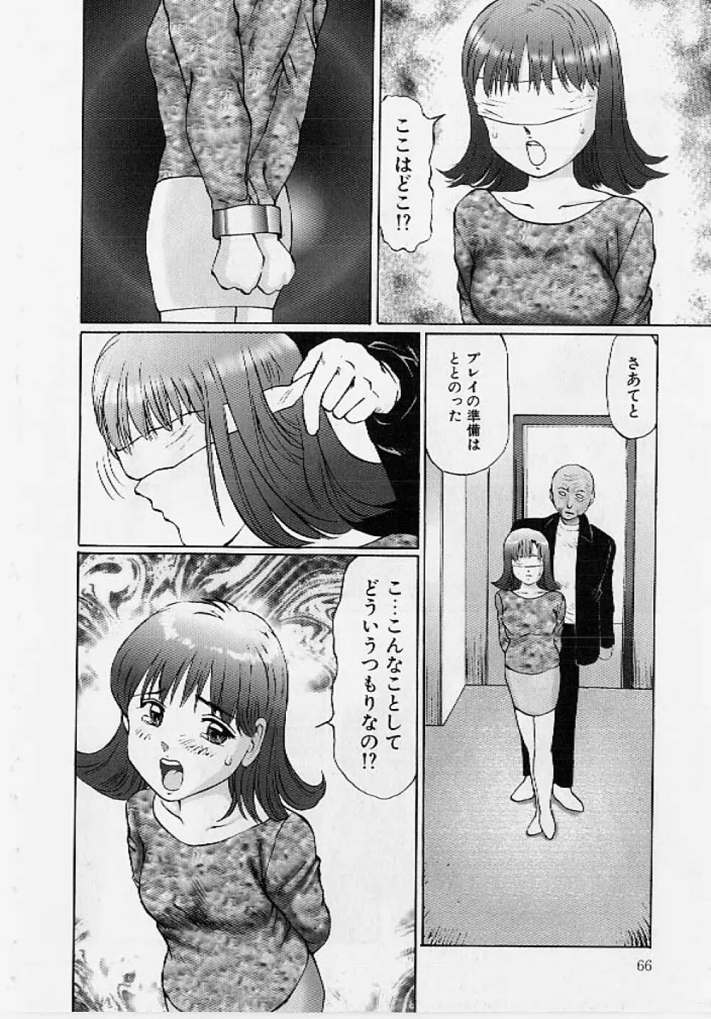 命令と服従 65ページ