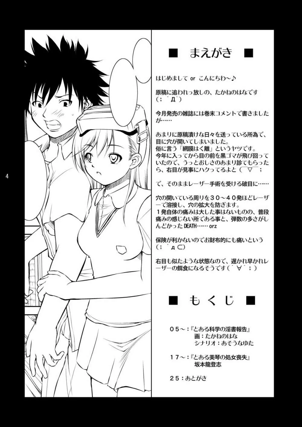 とある科学の淫書報告 3ページ