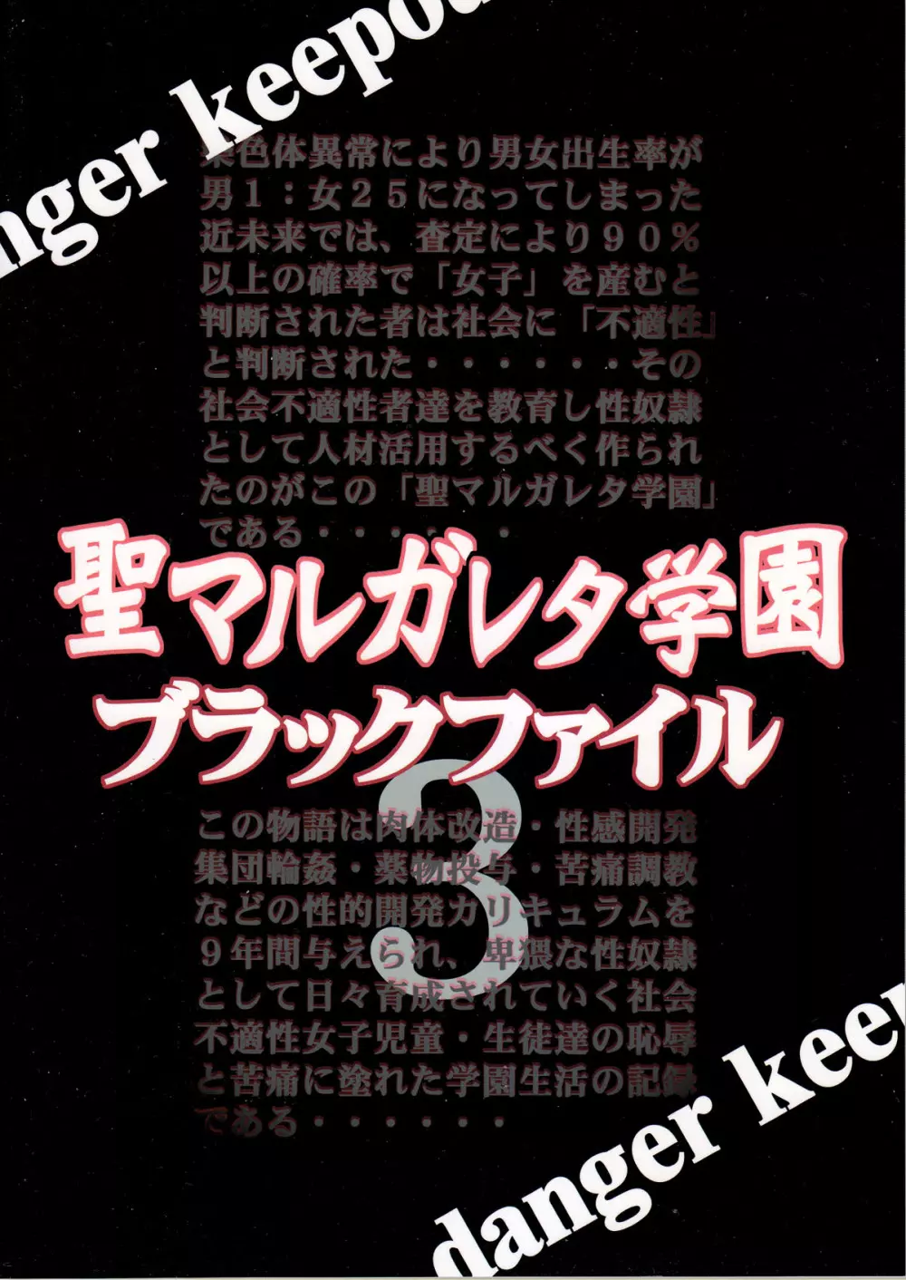 聖マルガレタ学園 ブラックファイル 3 2ページ