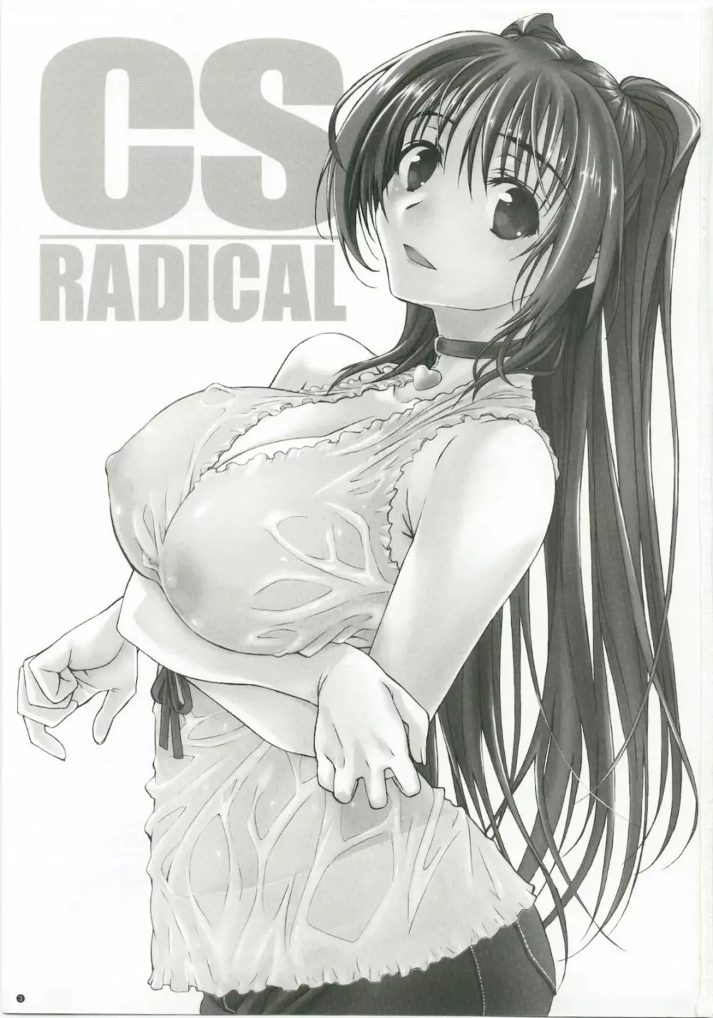 CS RADICAL 3ページ