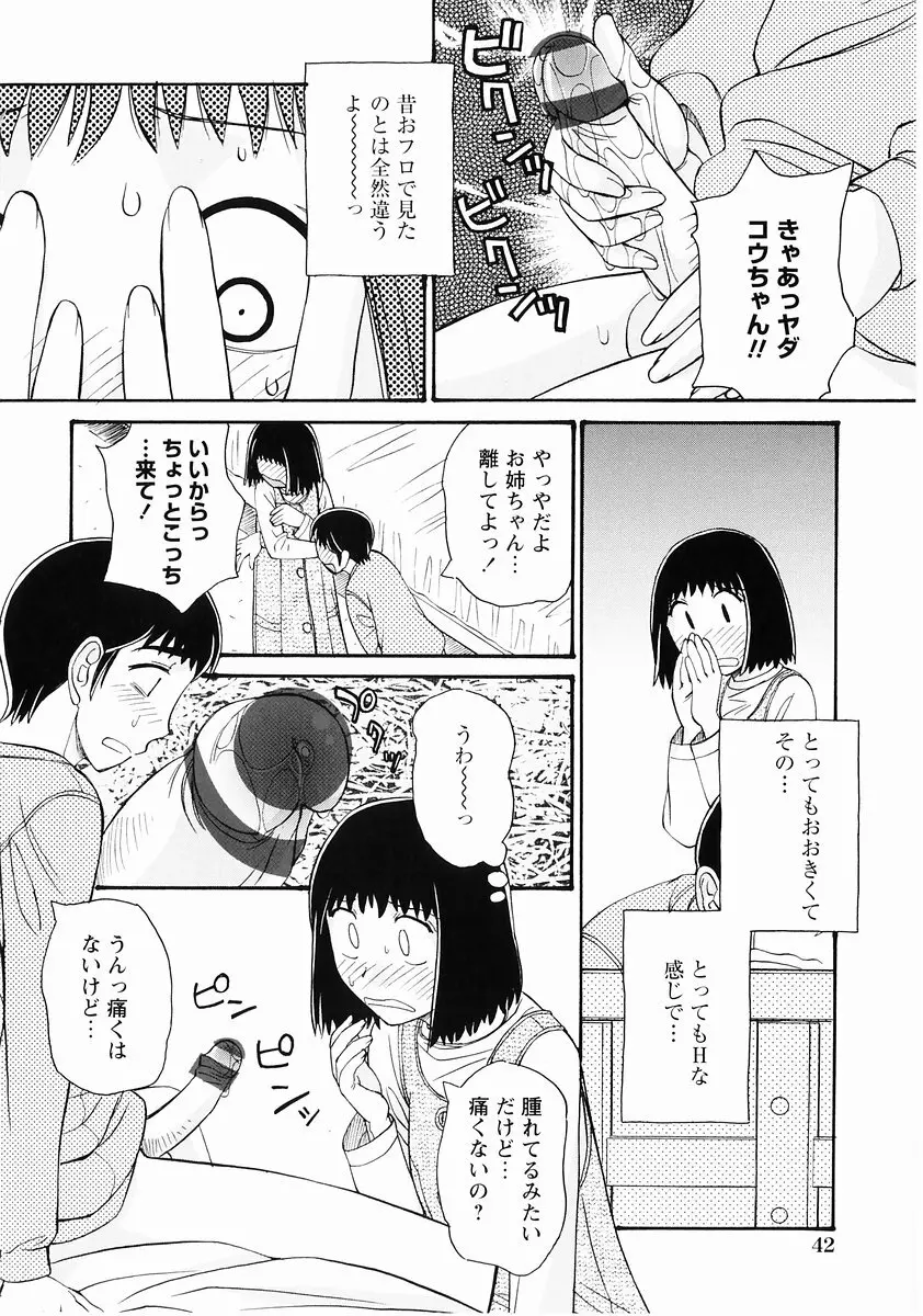 桃色図鑑vol.2 44ページ