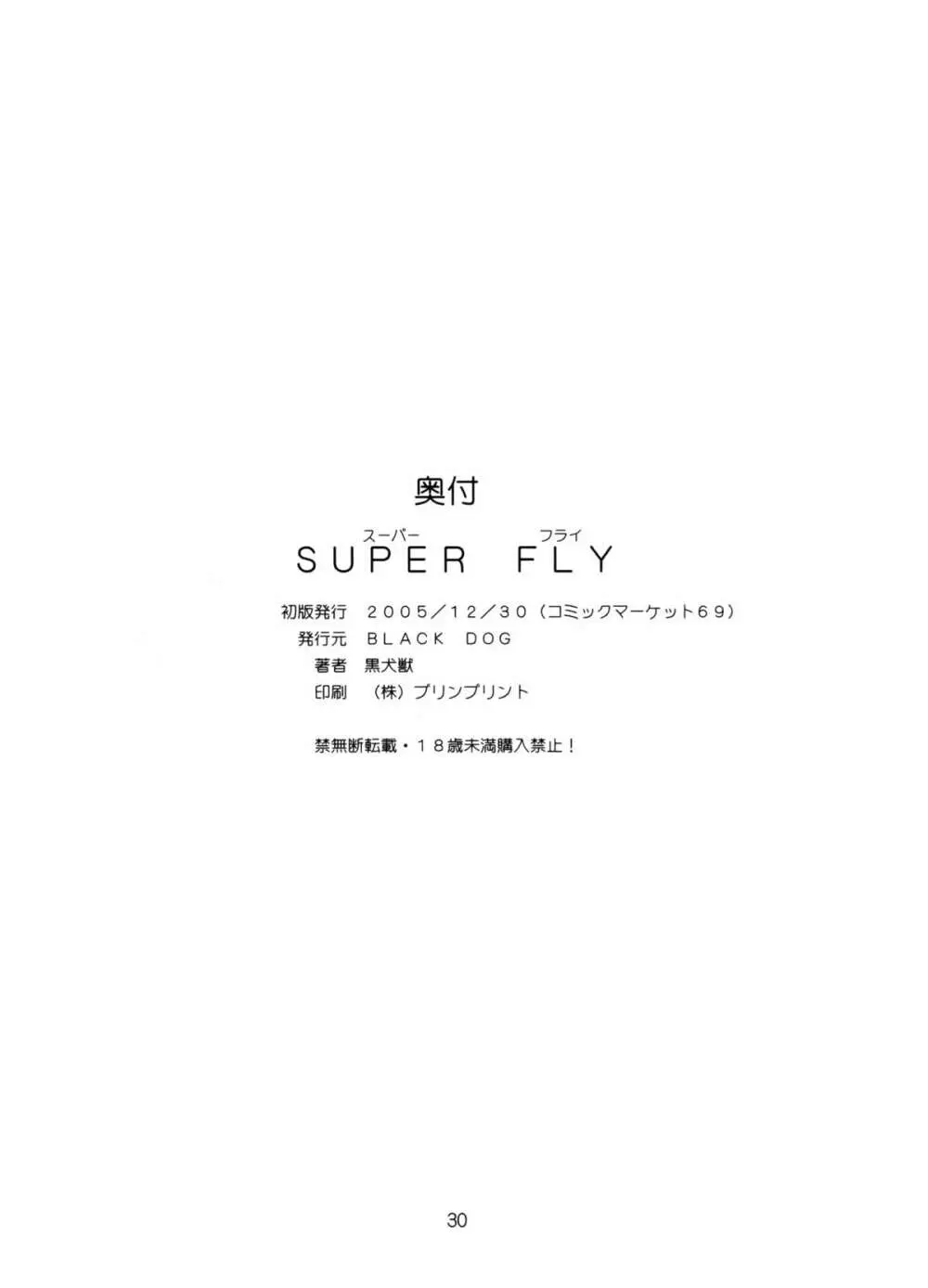 Super Fly 29ページ