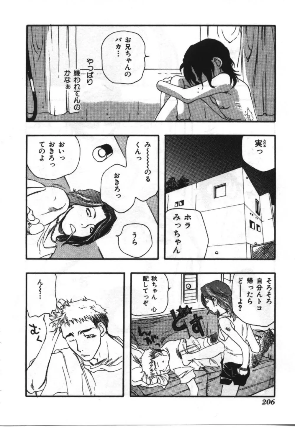 妹恋し Vol.2 206ページ