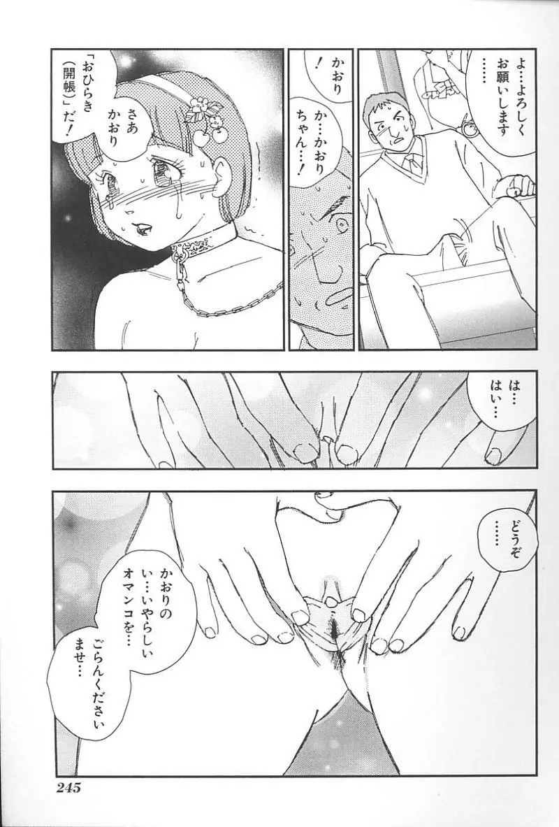 妹恋し Vol.4 248ページ