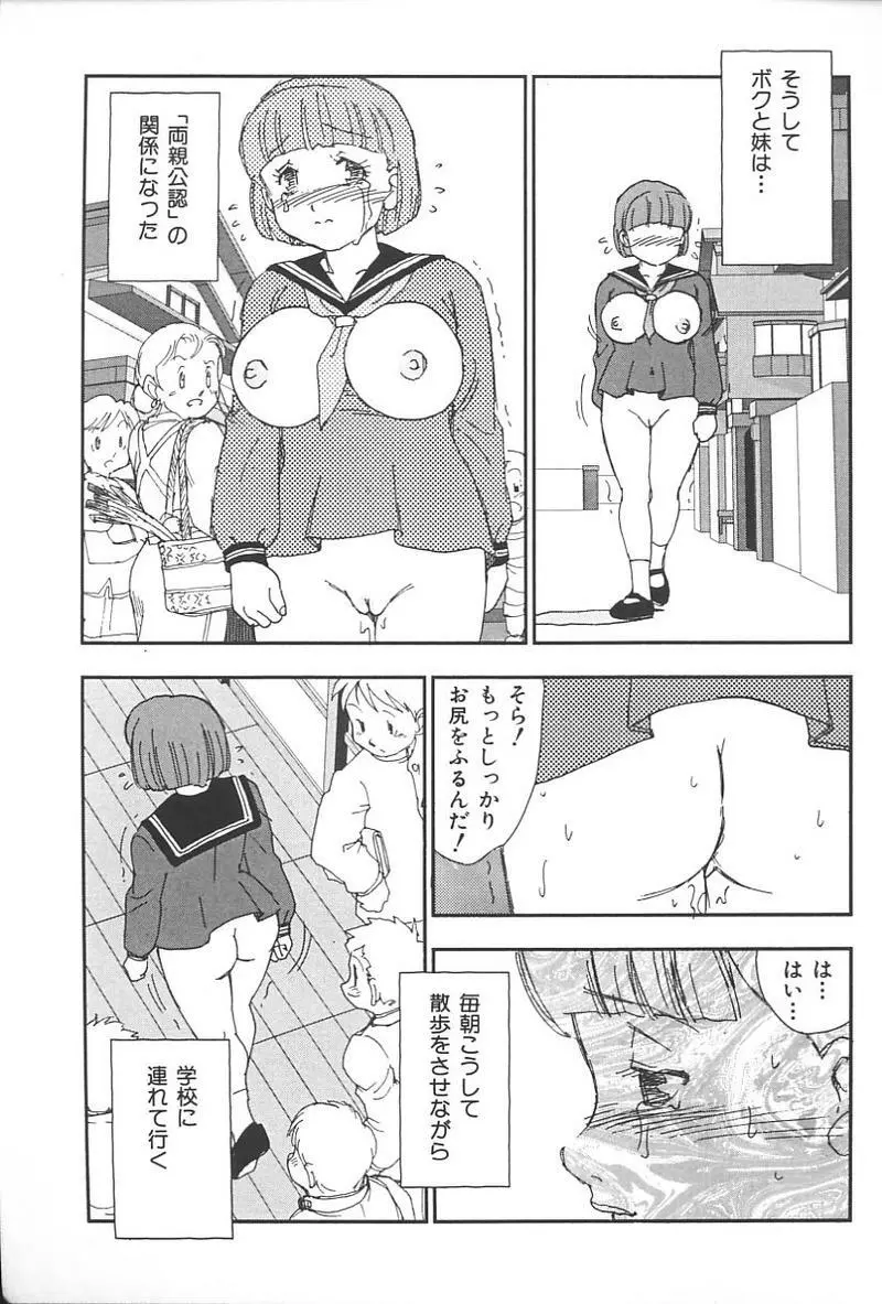 妹恋し Vol.4 258ページ