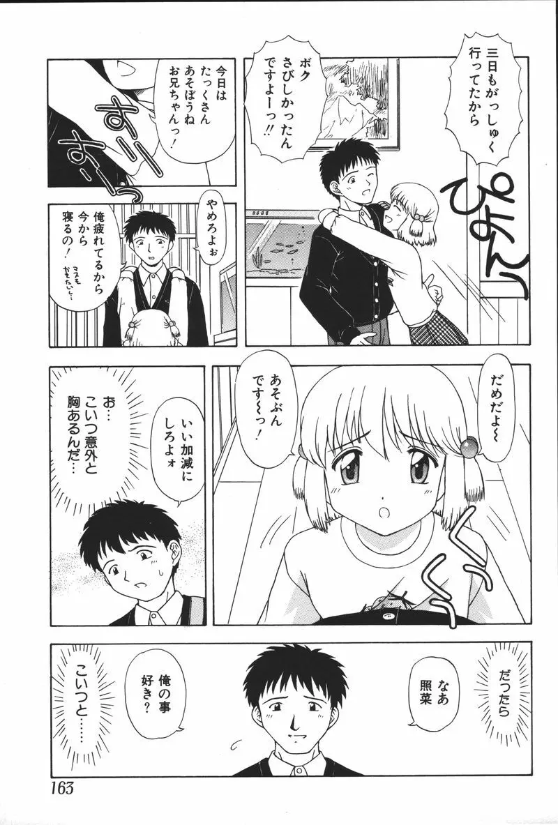 妹恋し Vol.5 165ページ