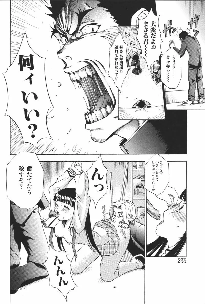 妹恋し Vol.5 238ページ