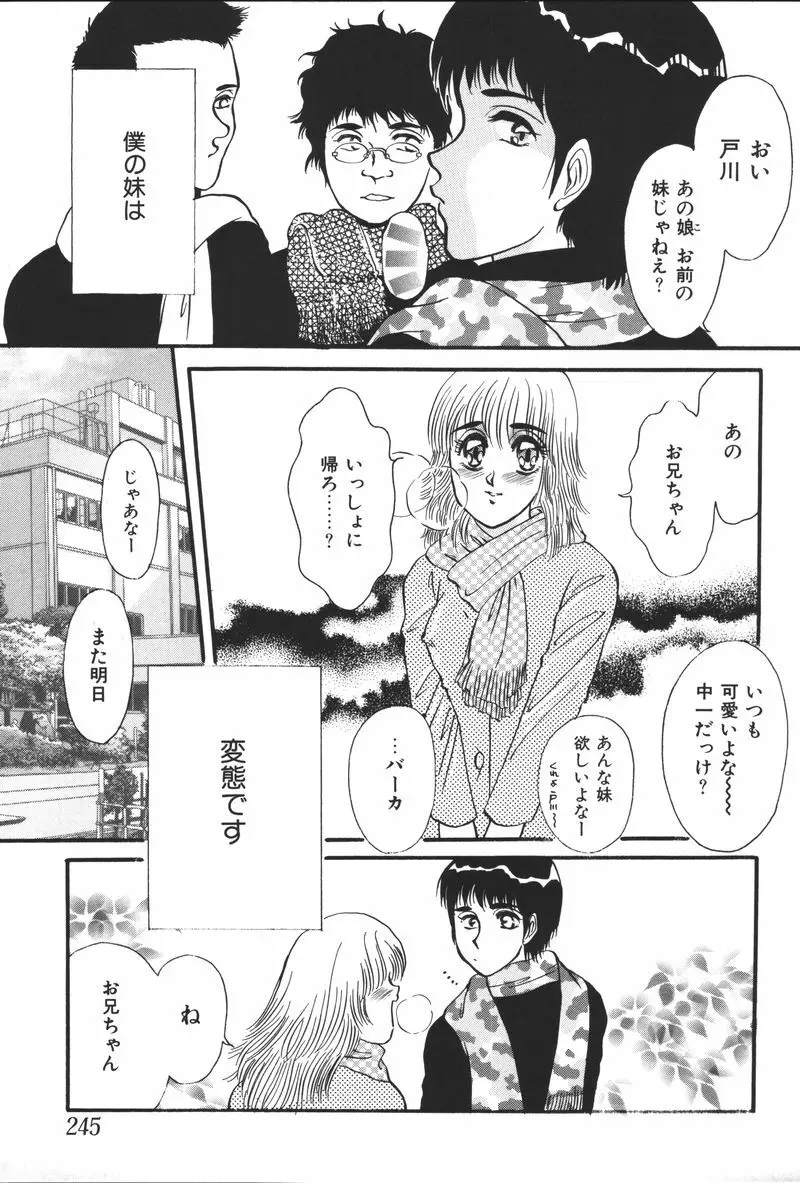 妹恋し Vol.5 247ページ