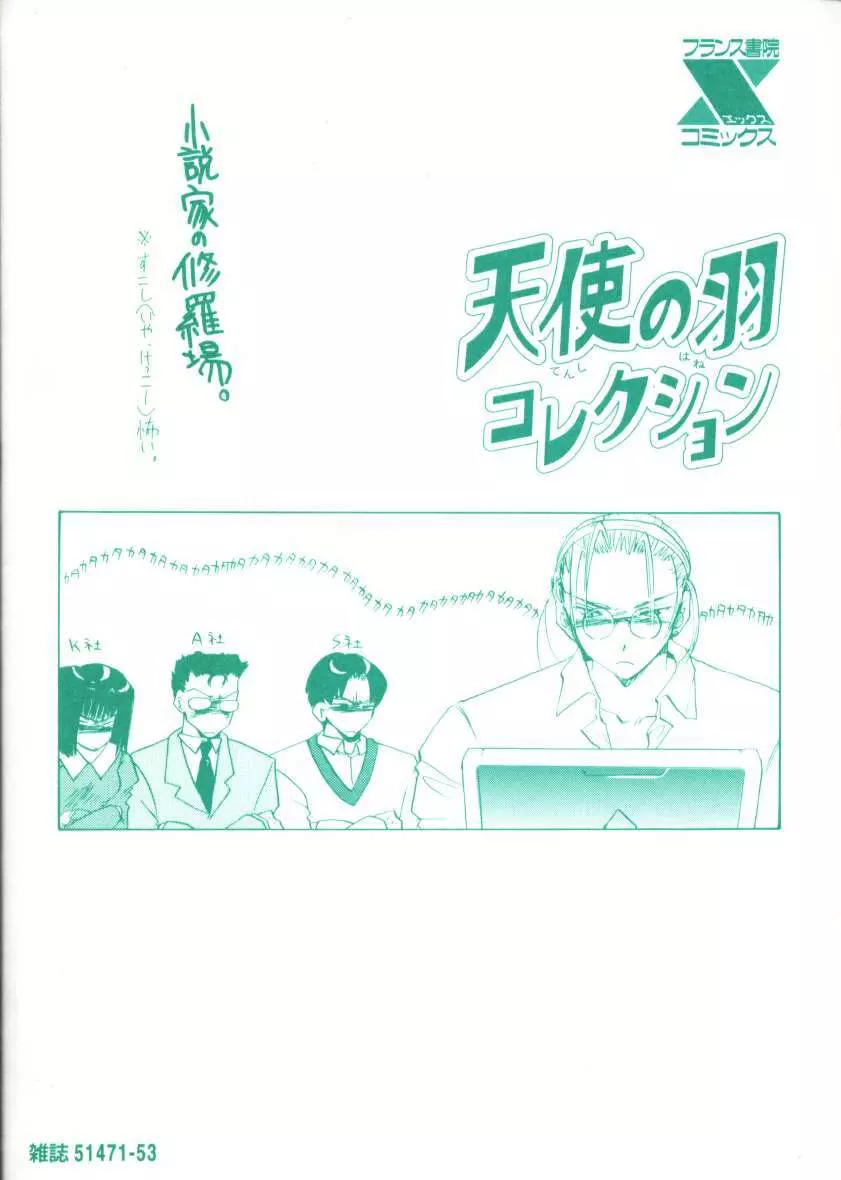 天使の羽コレクション 231ページ