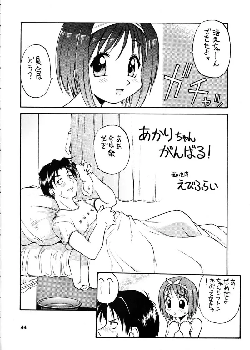 ひまわり 43ページ