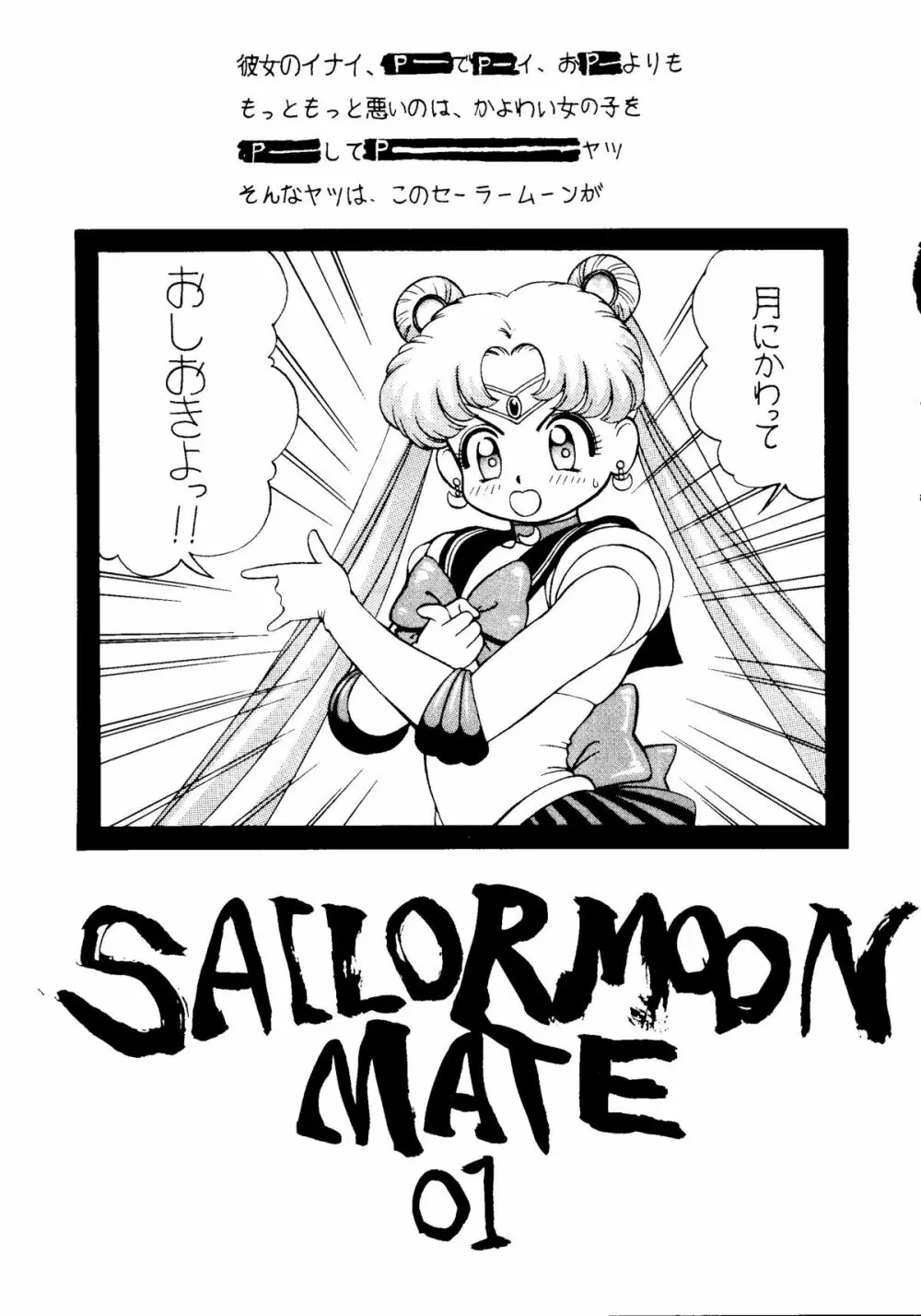 SAILOR MOON MATE vol.1 2ページ