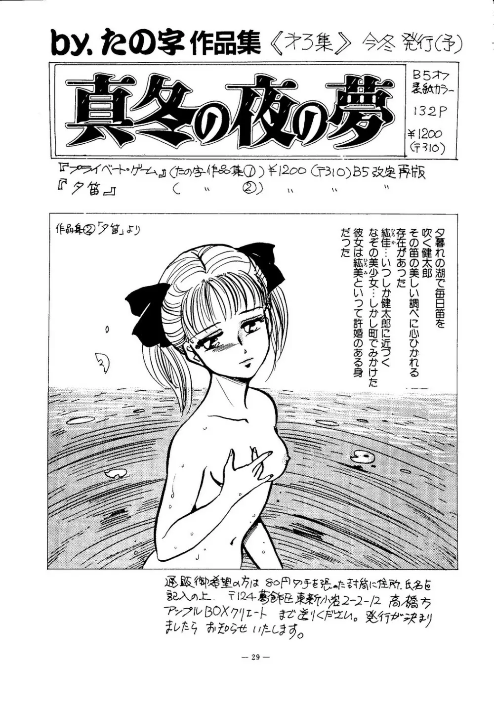 海賊版同人誌打倒版!! 被害報告 30ページ