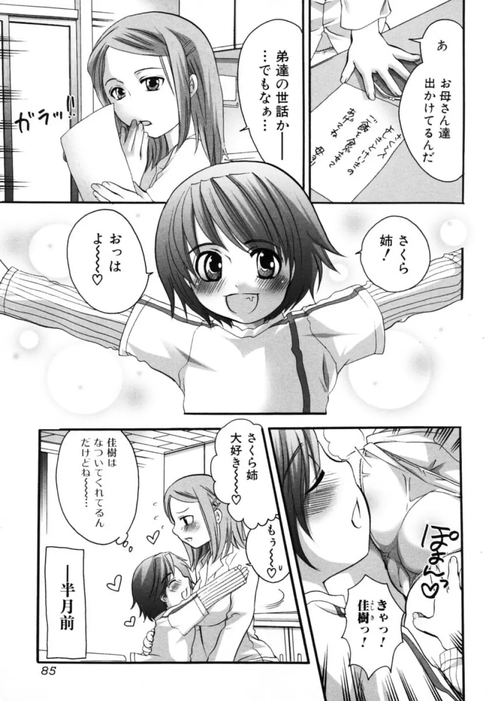 お姉さんの淫蜜 2 85ページ