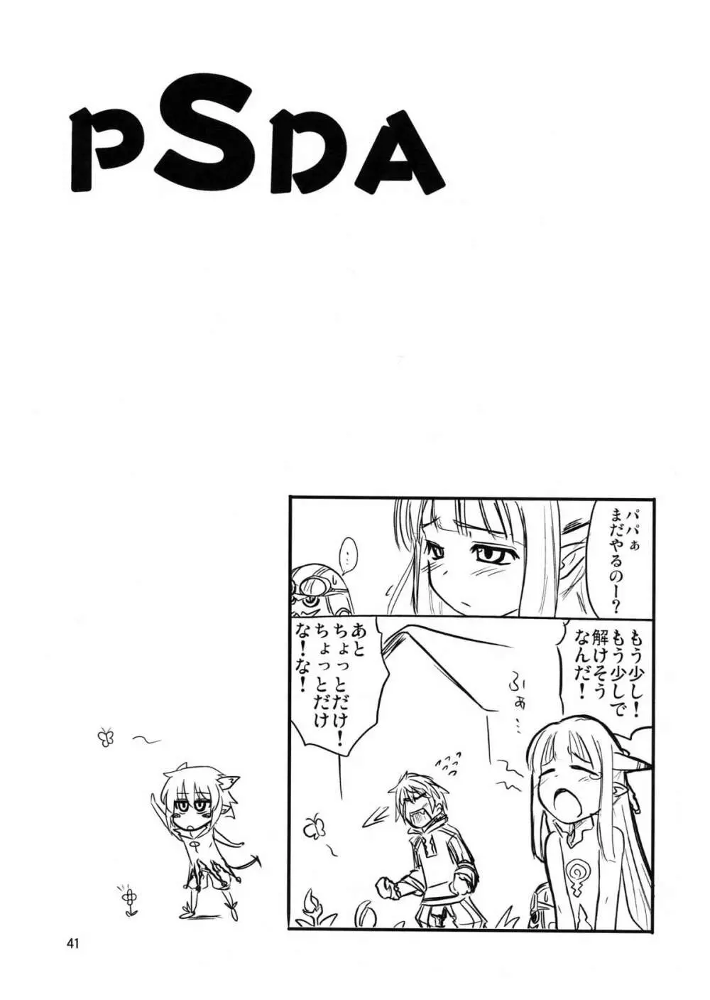 PSDA 41ページ