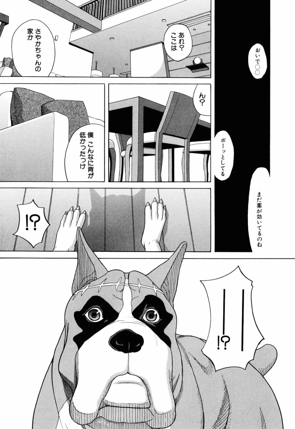 犬の生活 11ページ