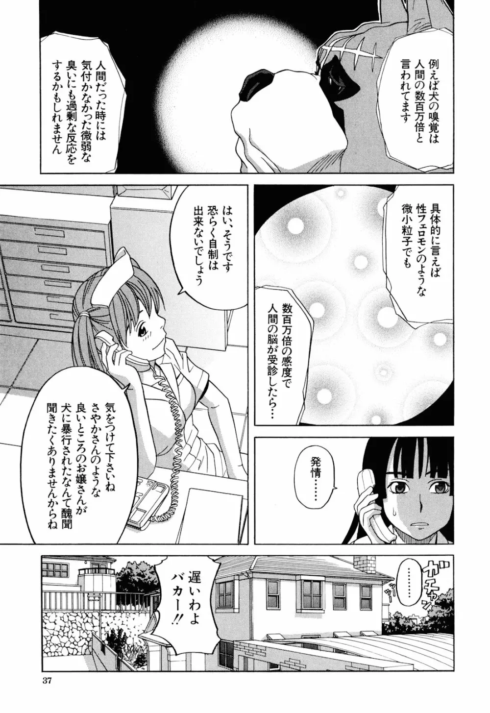 犬の生活 39ページ