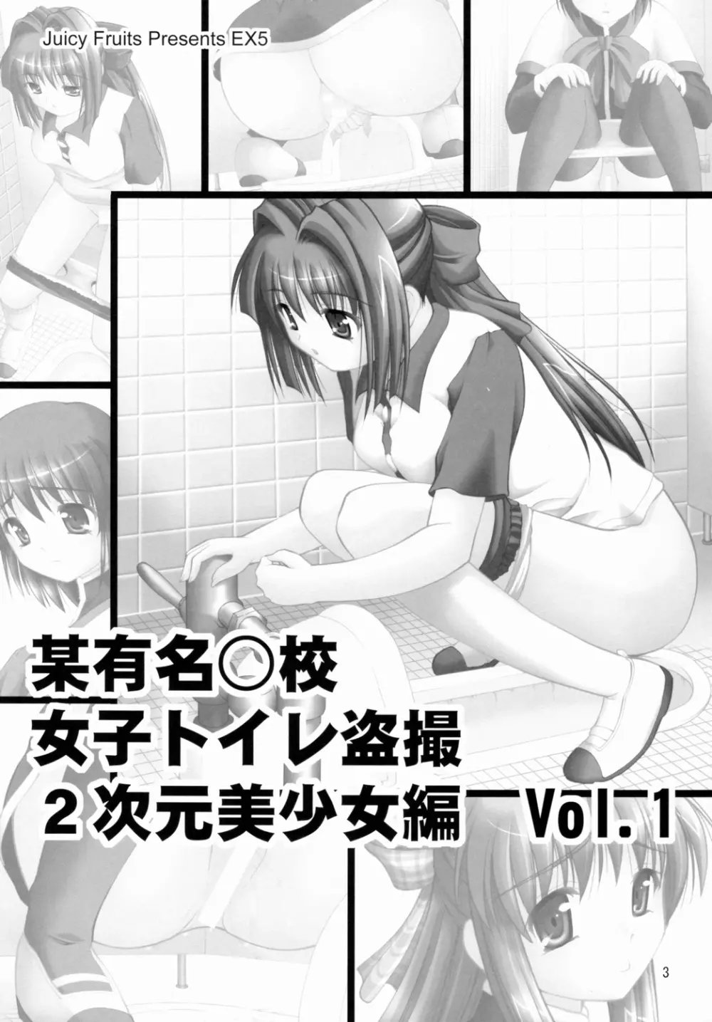 某有名○校女子トイレ盗撮 2次元美少女編 Vol.1 2ページ