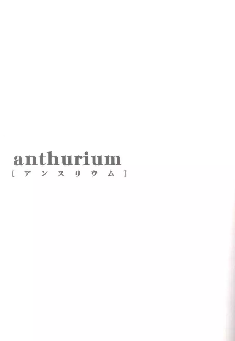 anthurium 2ページ