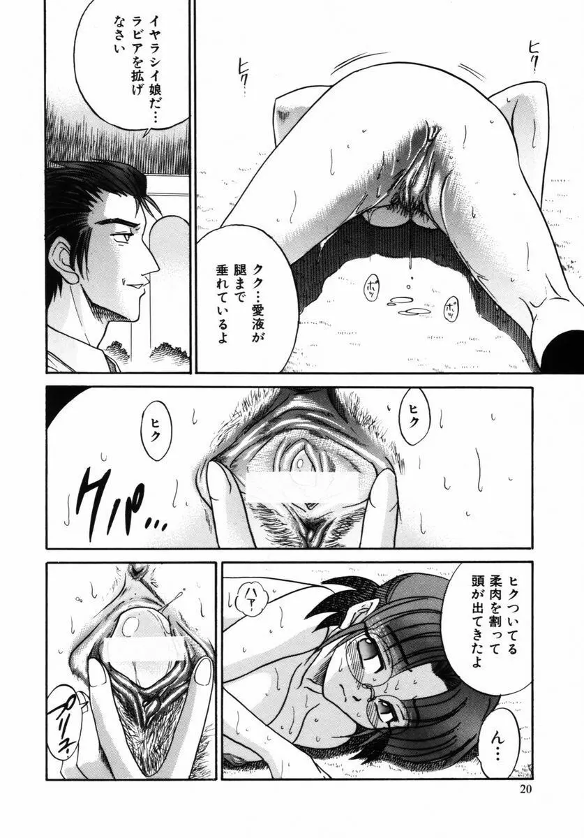 ミカエル計画 VOL.2 23ページ