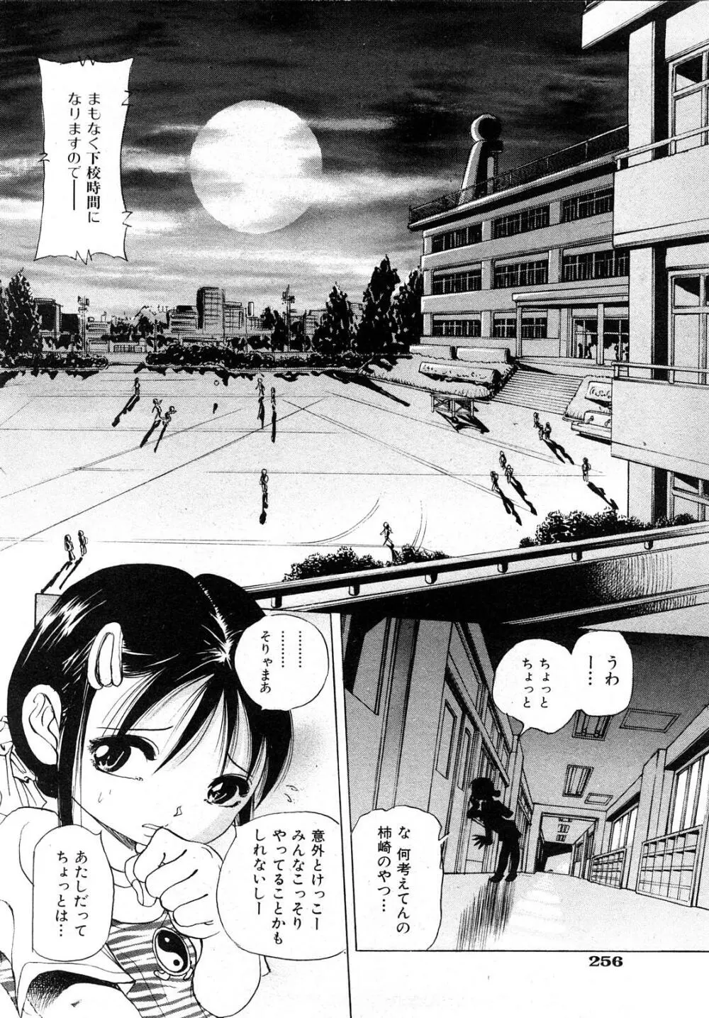 COMIC少女天国 2008年5月号 255ページ