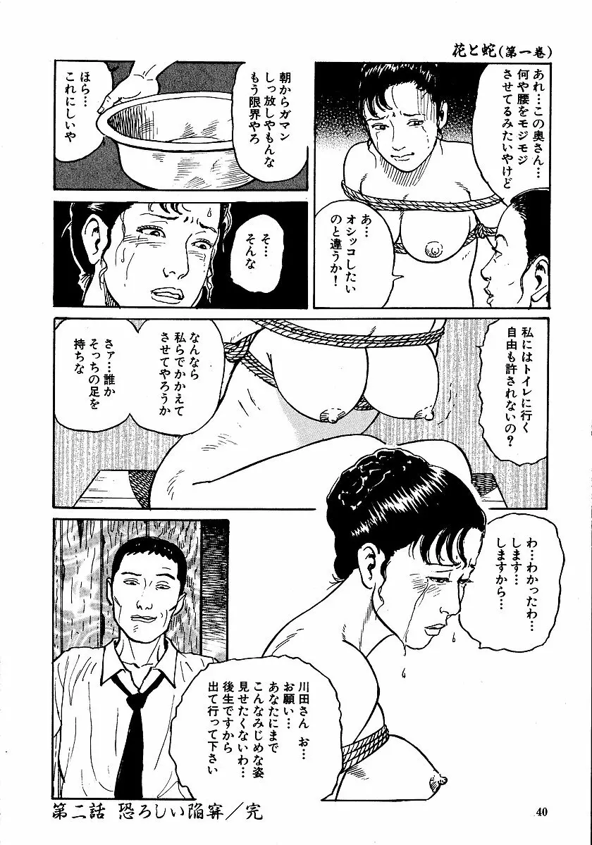 花と蛇 第一集 45ページ