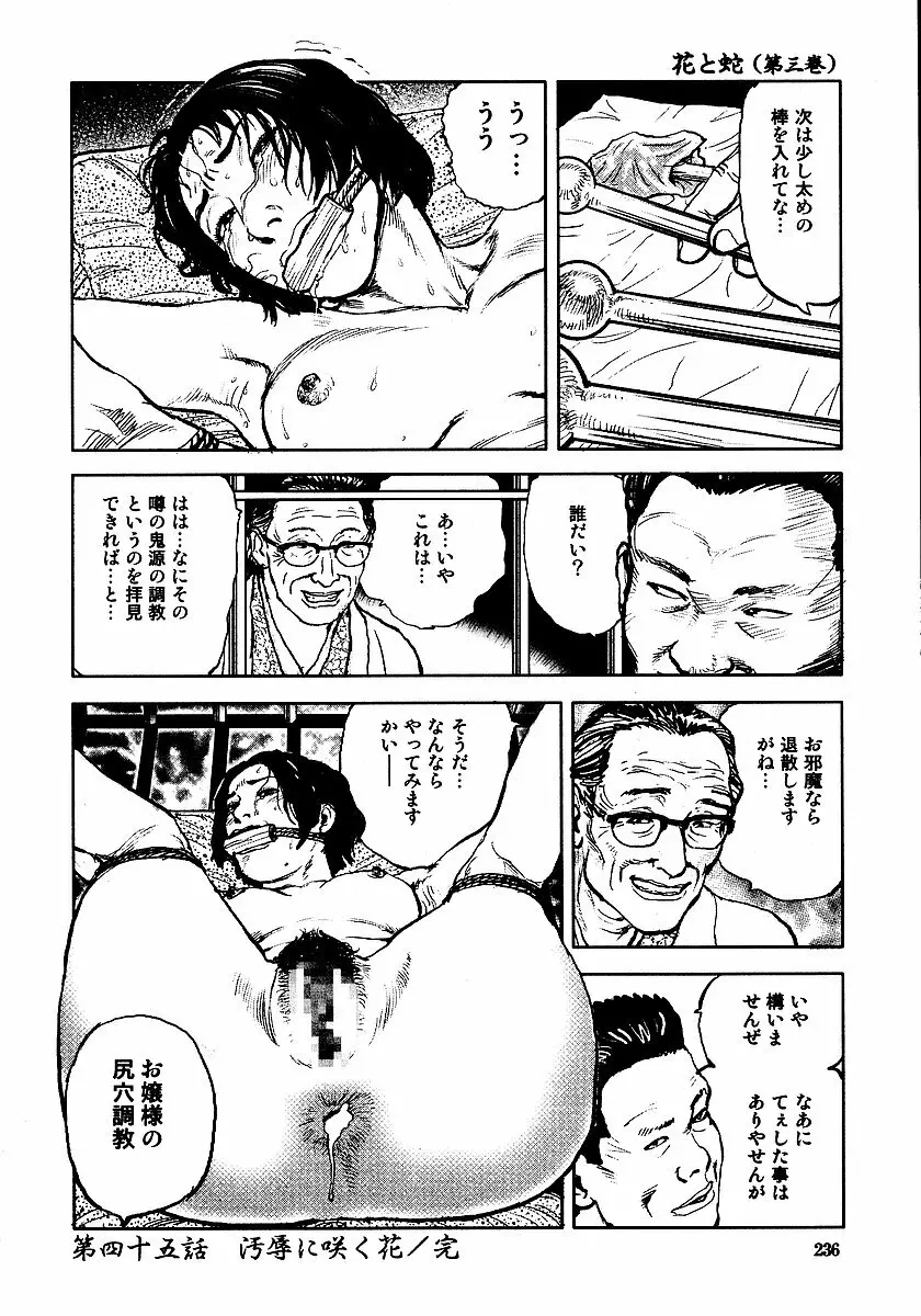 花と蛇 第三集 241ページ