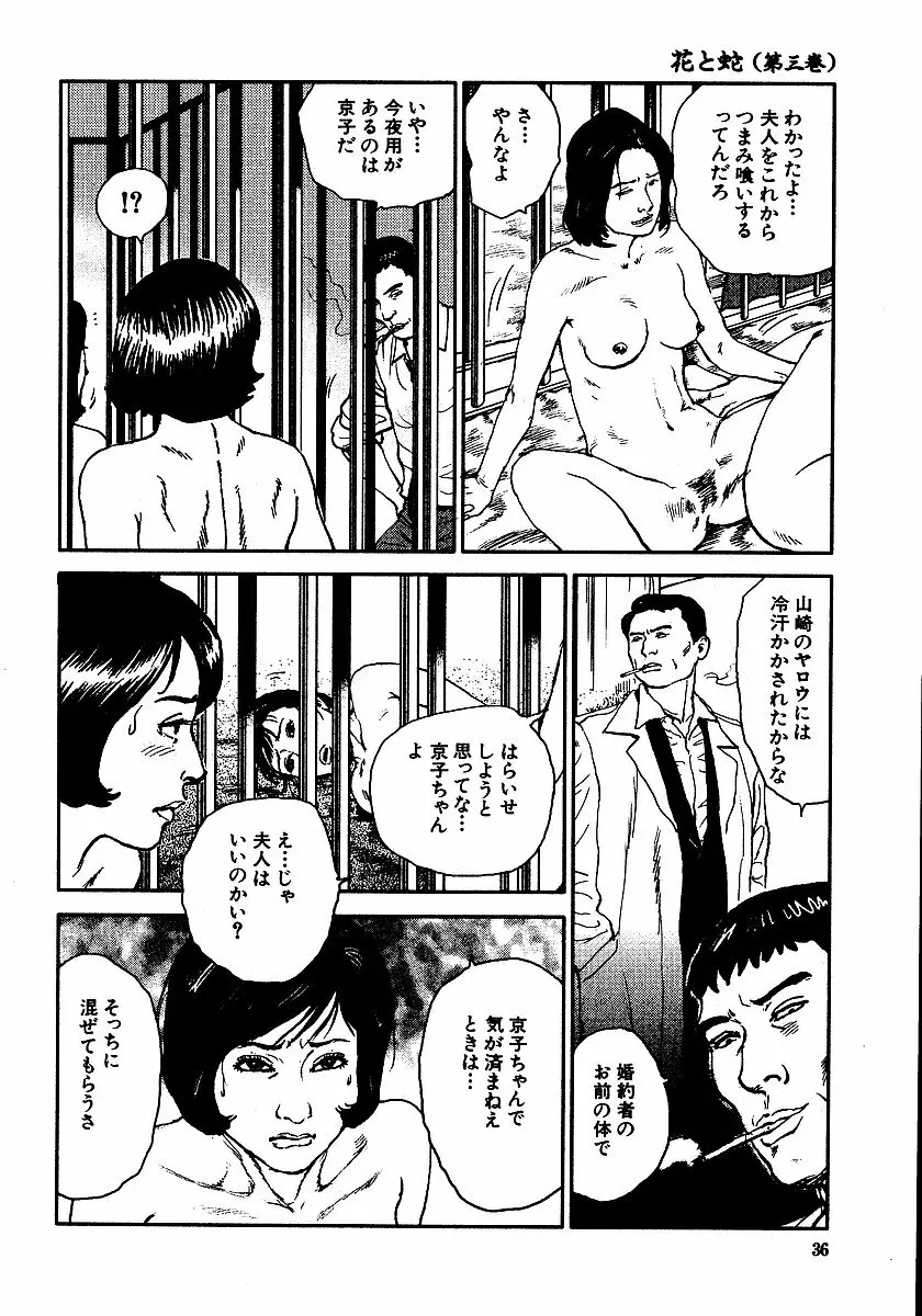 花と蛇 第三集 41ページ