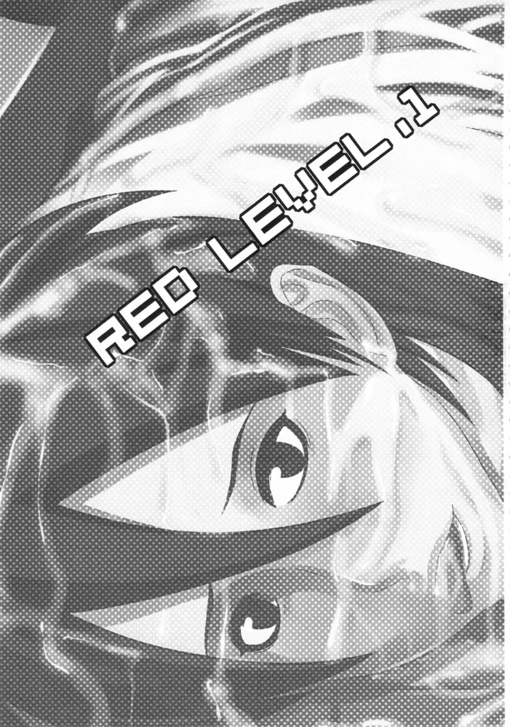 redlevel 2ページ