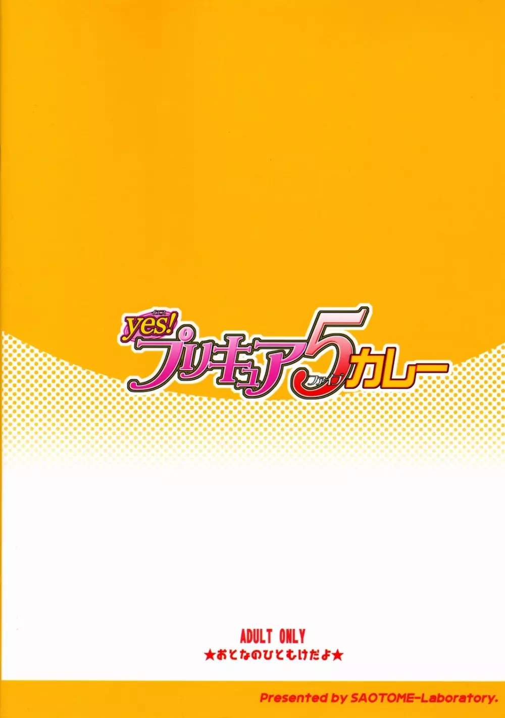 Yes!プリキュア5カレー 14ページ