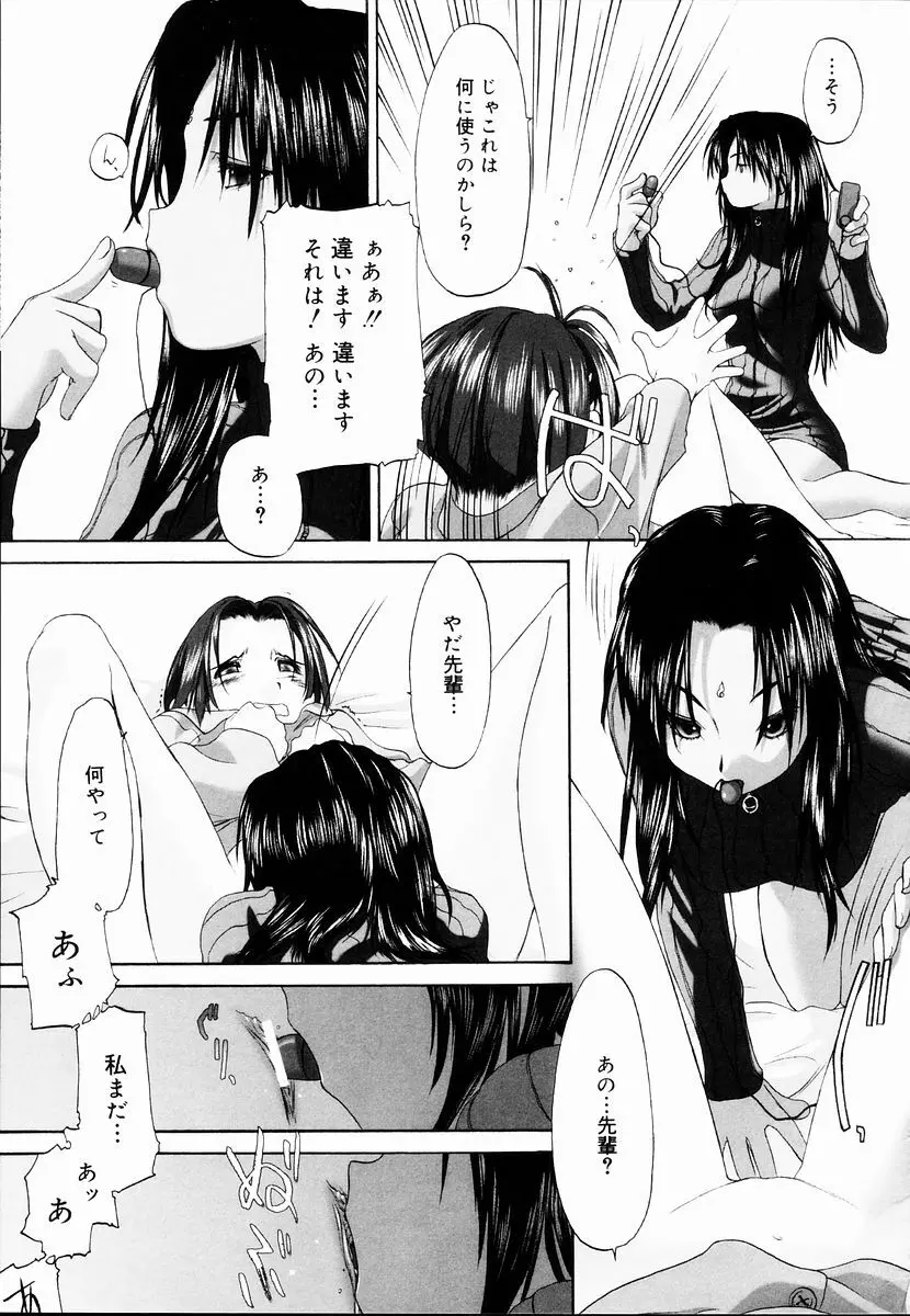 少女セクト + 虎の穴配布ペーパー 171ページ