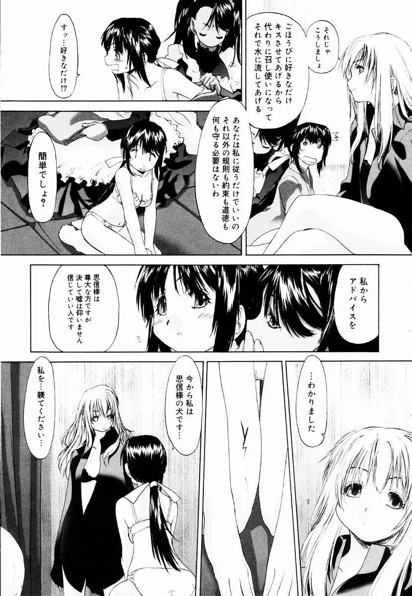 少女セクト + 虎の穴配布ペーパー 43ページ