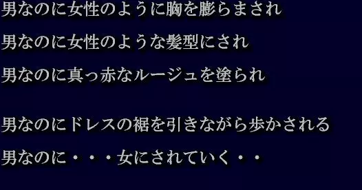 恥辱女装の夜 2ページ