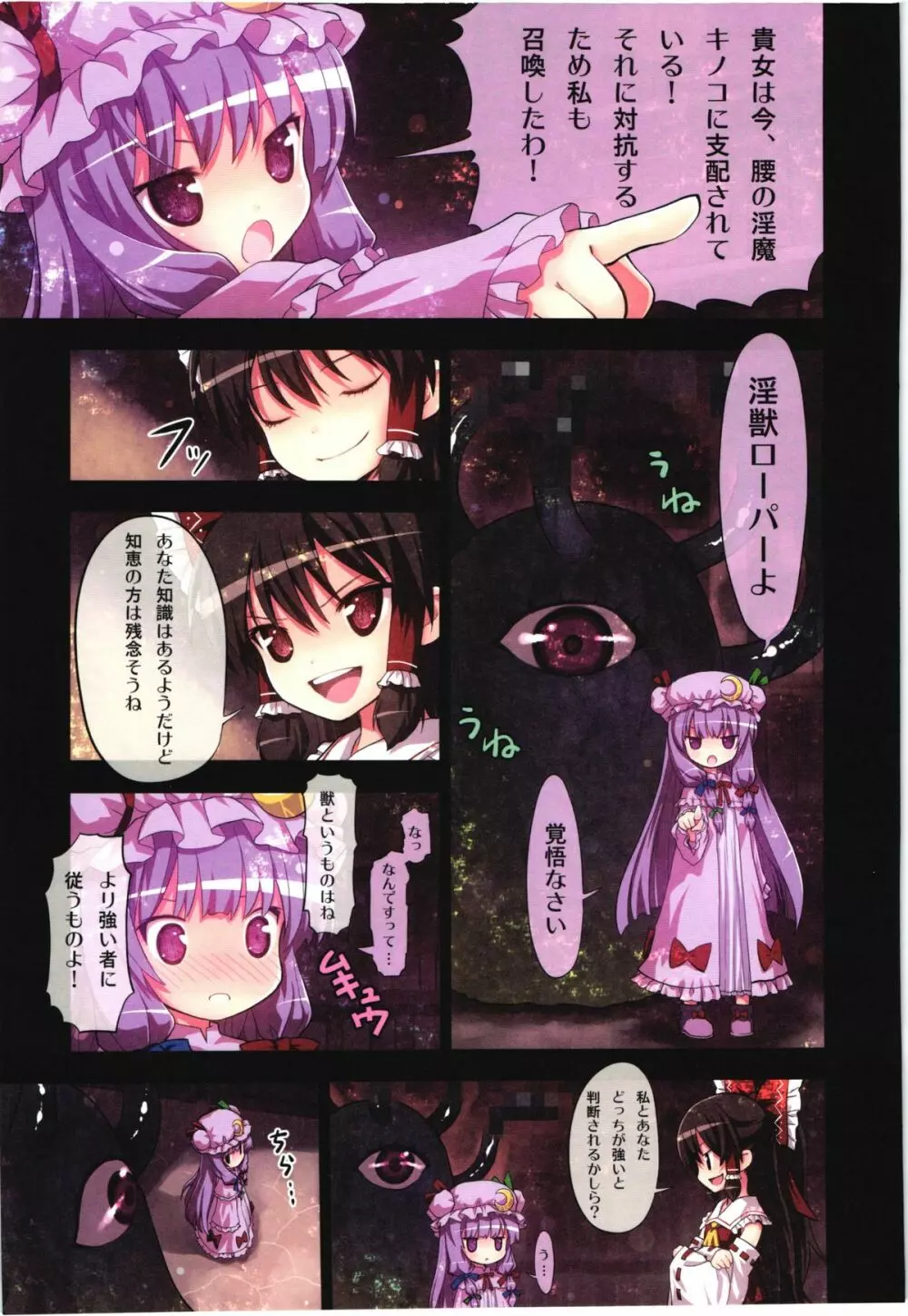 (C80) [りとる☆はむれっと、にゃんふぇっと (ら～☆きぃ)] 鬼畜王レイム-東方紅魔郷攻略本 -紅魔館編- (東方Project) 6ページ