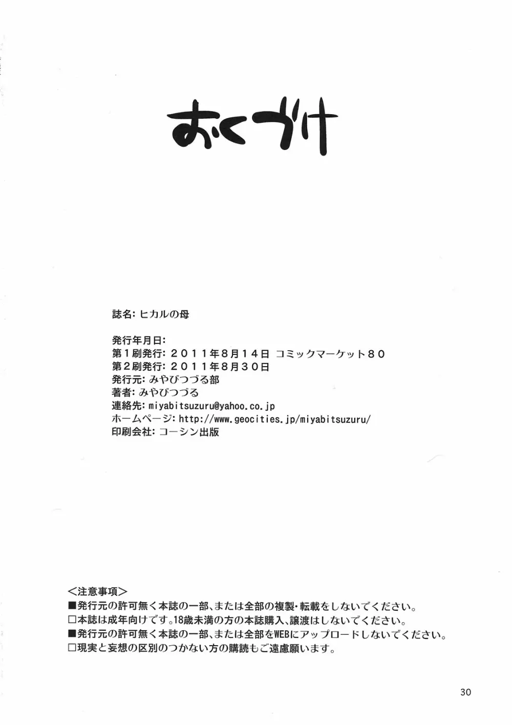 ヒカルの母 30ページ