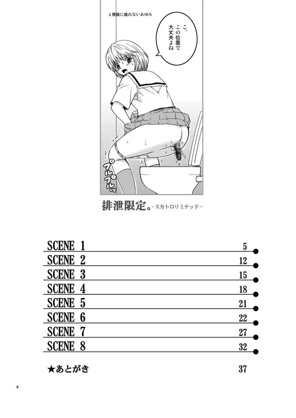 排泄限定。 4ページ