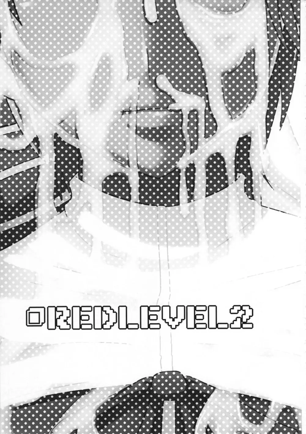 REDLEVEL2 2ページ