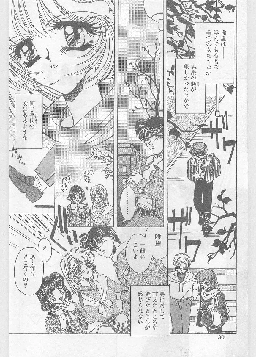 COMIC パピポ外伝 1996年01月号 Vol.18 30ページ