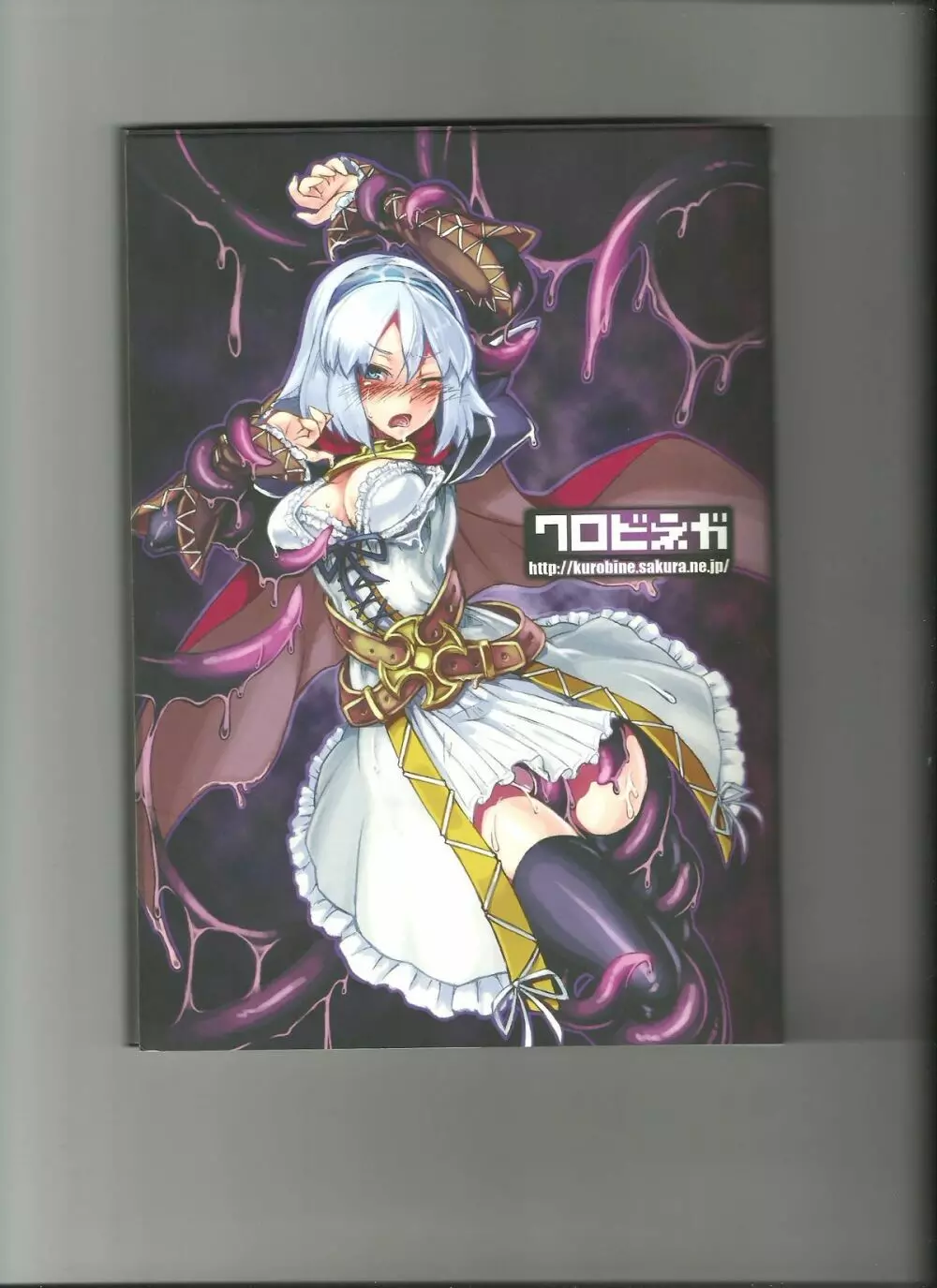 Monster Girl Encyclopedia World Guide I ～堕落の乙女達～ -Fallen Maidens- 70ページ