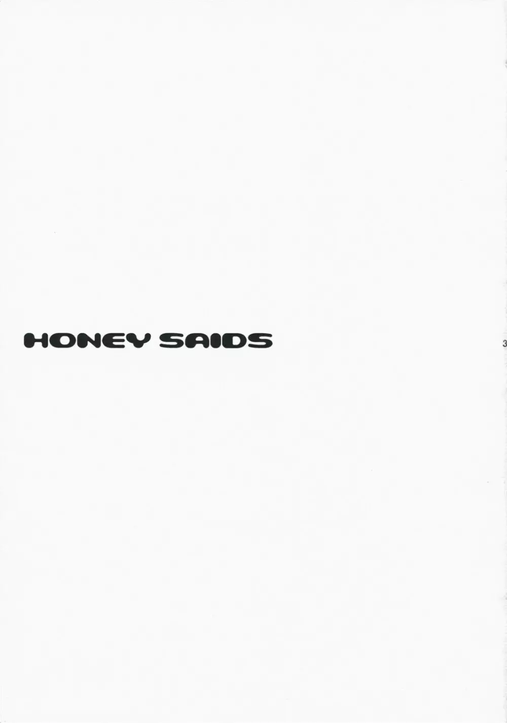 HONEY SAIDS 2ページ