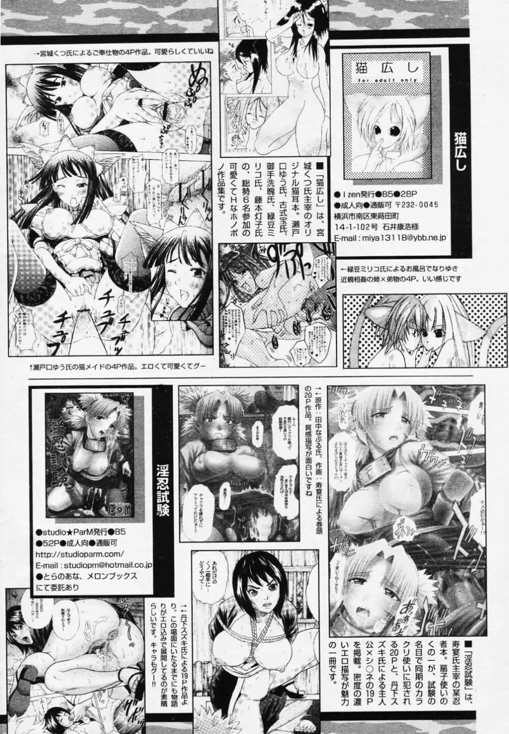 COMIC パピポ 2006年08月号 242ページ