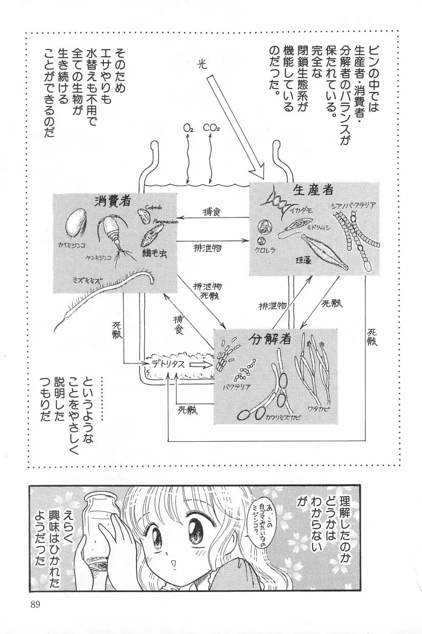 リトルピアス Vol.20 89ページ